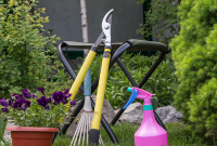 GARDEN_TOOLS